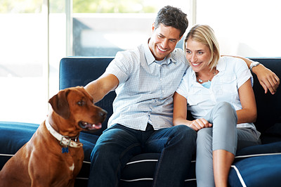 Happy young couple sitting with dog at home