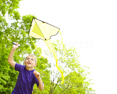 I love flying kites!