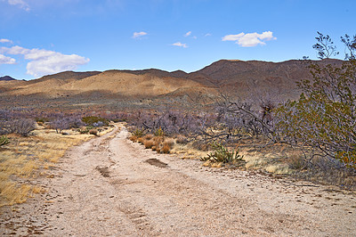 Desert trail - Anza-Borrego