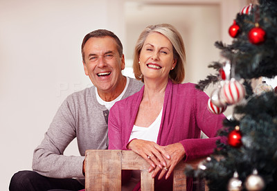 Cheerful mature couple sitting near a Christmas tree at home
