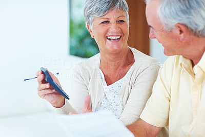 Cheerful mature couple calculating house bills