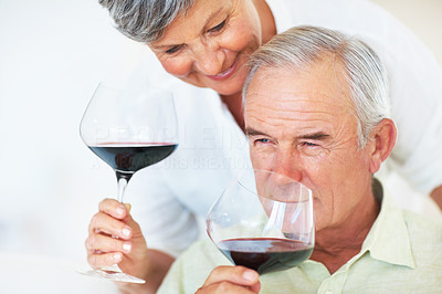 Mature couple drinking wine
