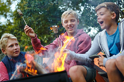 The campfire - marshmallows beware!