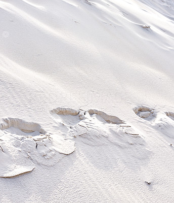Sand dunes at the Westcoast of Jutland, Denmark