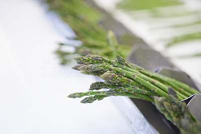Processing the fresh asparagus harvest