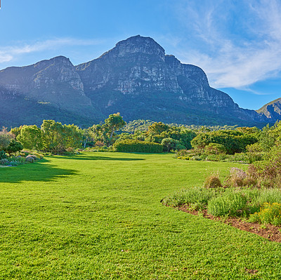 Nature - Cape Town area