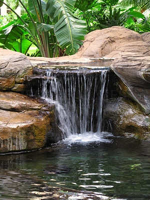 Pond and waterfall in my garden