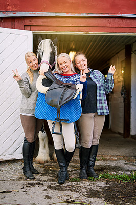 If you want a stable friendship, get a horse!