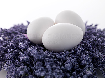 Eggs on purple spring flowers