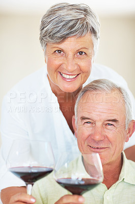 Mature couple holding wine glass