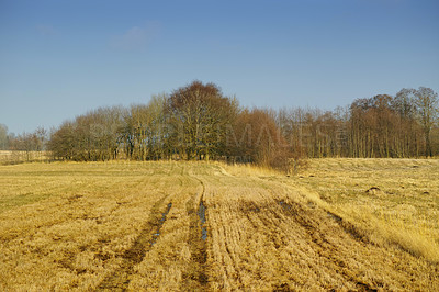 Farmland in early spring