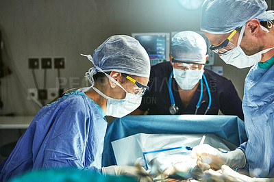 Focused on an intricate surgical procedure