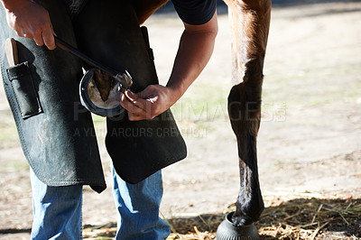 He takes great care when dealing with the horse