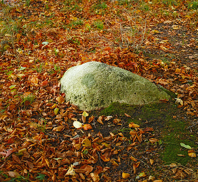 A huge stone in autumn forest