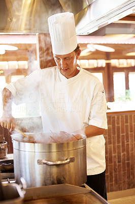 Cook preparing food in the kitchen