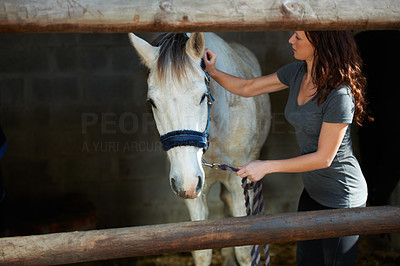 Taking care of her horse