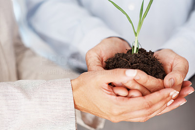 New business concept - Human hands holding small plant