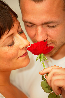 A young romantic couple enjoying the scent of a rose