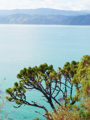 Landscapes of New Zealand - North Island