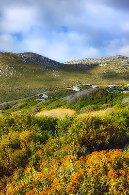 Hillsides of the Western Cape