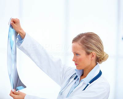 Side view of a female doctor checking an x-ray