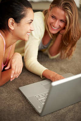 Charming young females working together on laptop