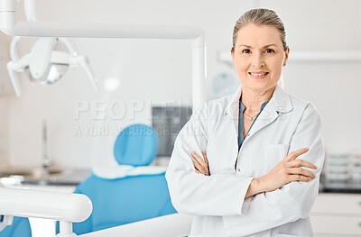 Buy stock photo Shot of a mature dentist in her office