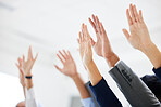 Closeup of unknown group of diverse businesspeople celebrating success after interview. Team of applicants together with arms raised. Candidates selected for job opening, vacancy, office opportunity